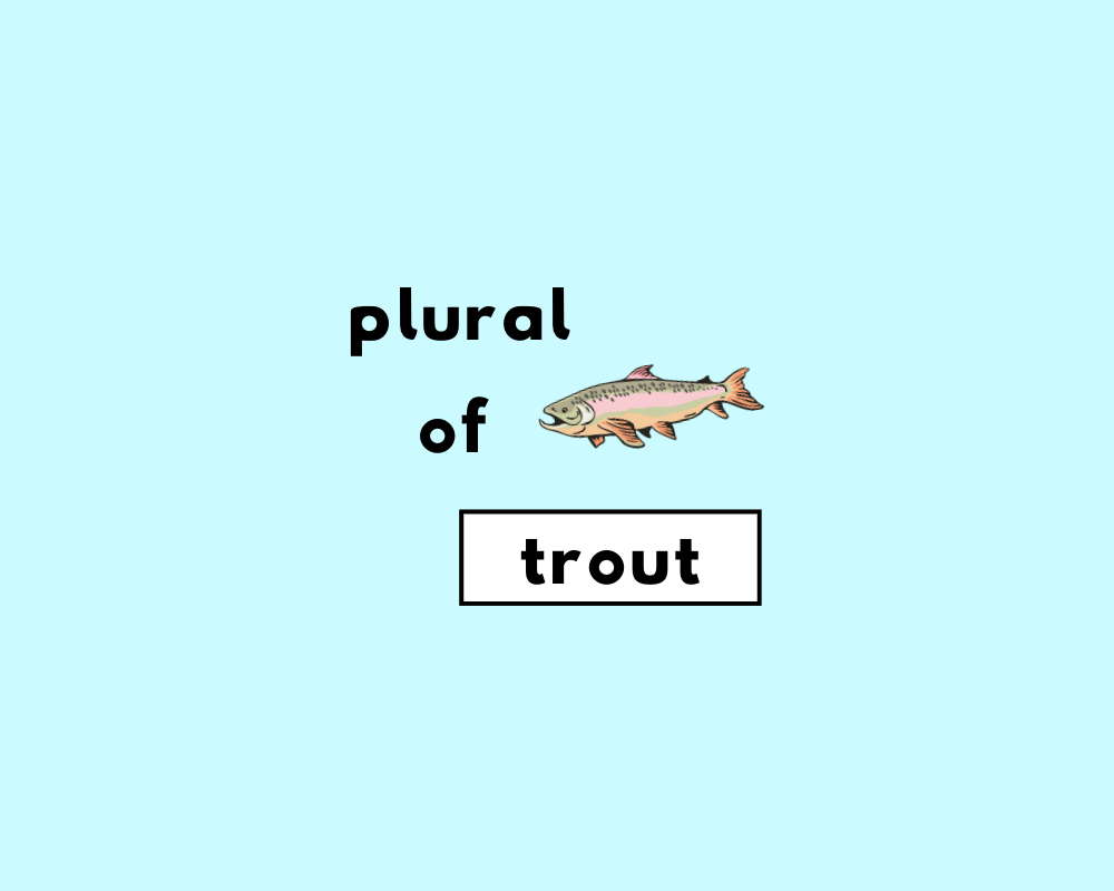 How to Use Trout Plural (Explained, With Examples)