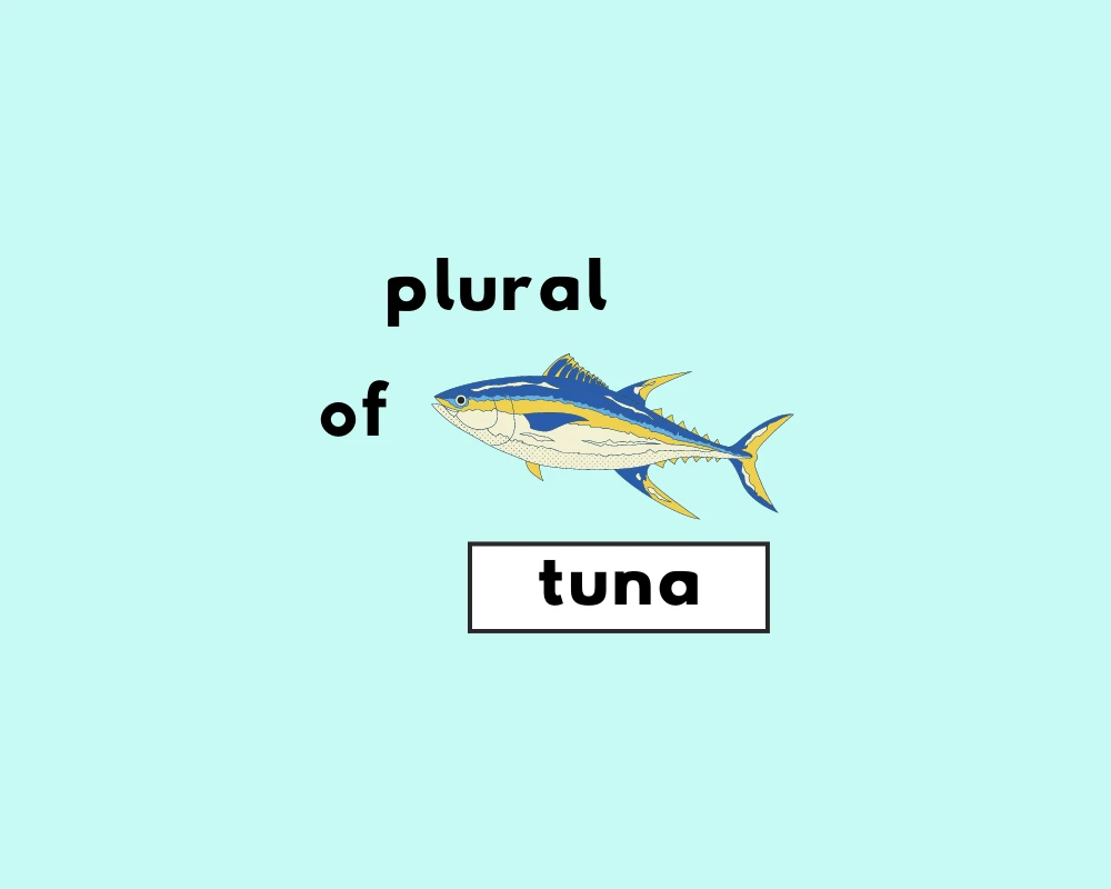 How to Use Tuna Plural (Explained, With Examples)
