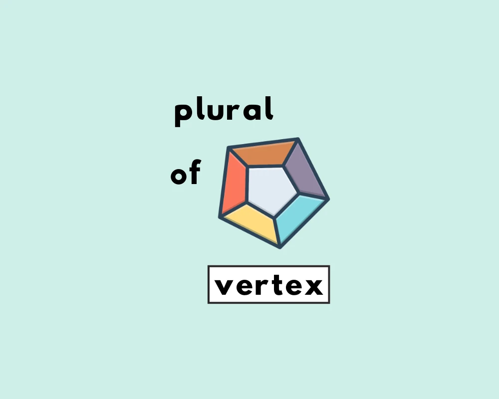 How to Use Vertex Plural (Explained, With Examples)