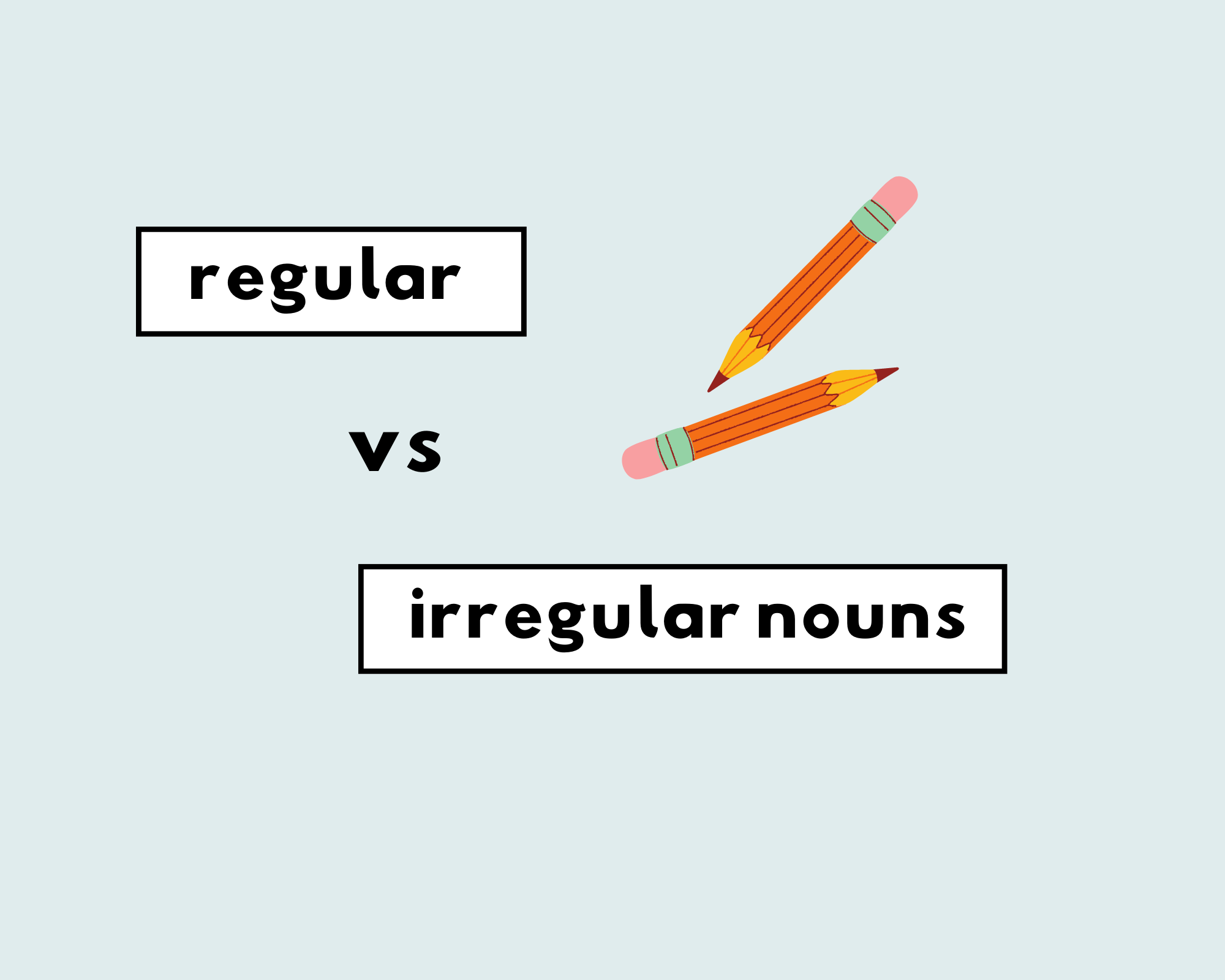 What Are Regular and Irregular Nouns?