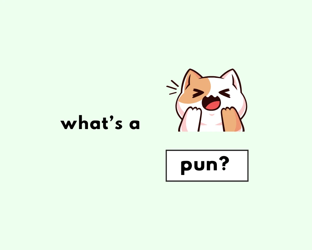 What’s a Pun? (Meaning, with Examples)
