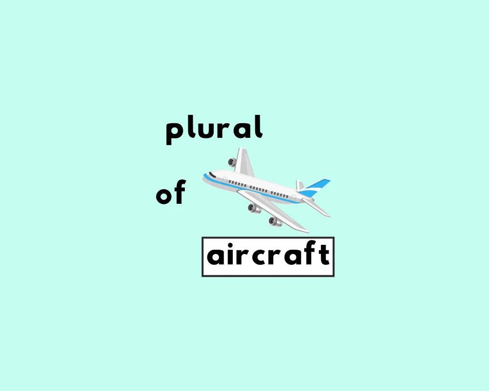 Is Aircraft Singular or Plural? What’s the Plural of Aircraft?