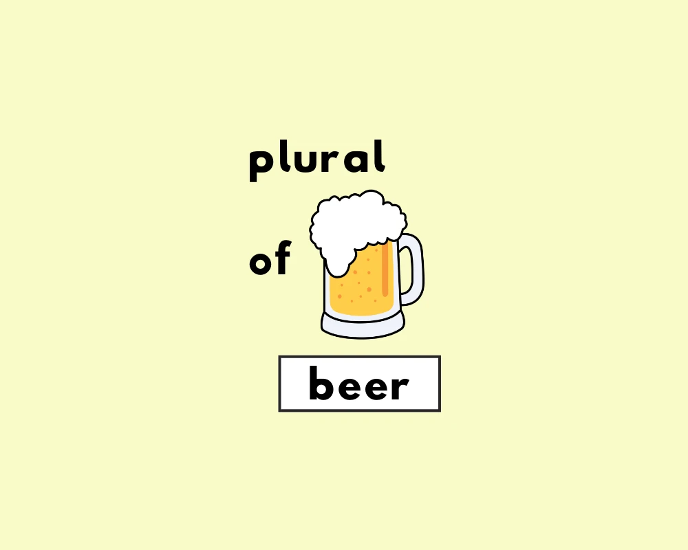 How to Use Beer Plural (Explained, Examples & Worksheet)