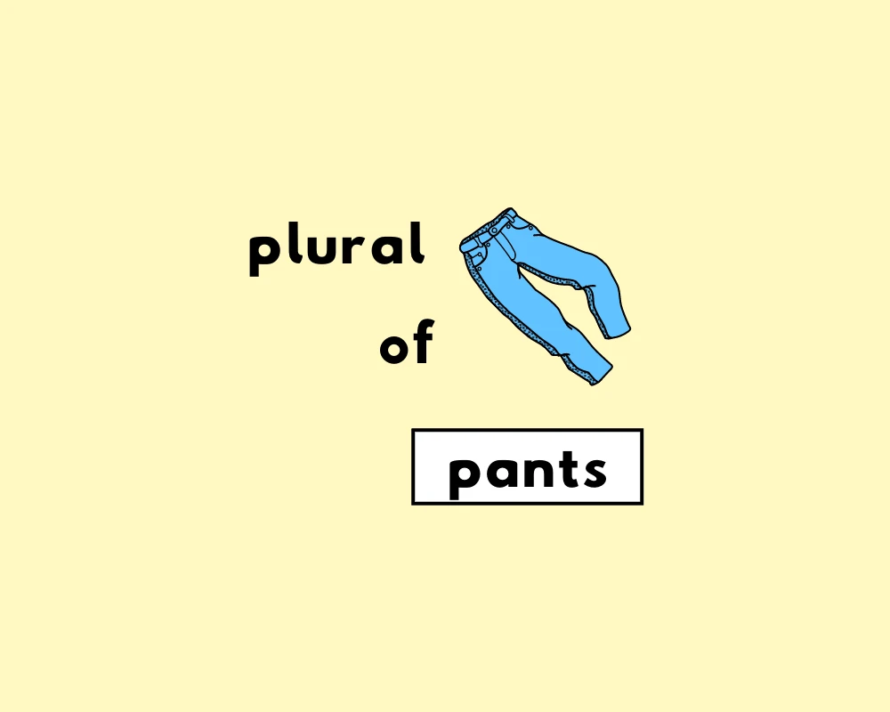 Is the Word Pants Plural or Singular?