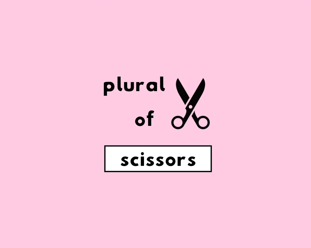 Are Scissors Singular or Plural?