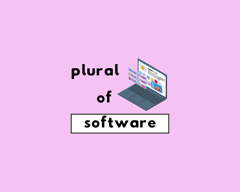 Is Software Plural or Singular? What’s the Plural of Software?
