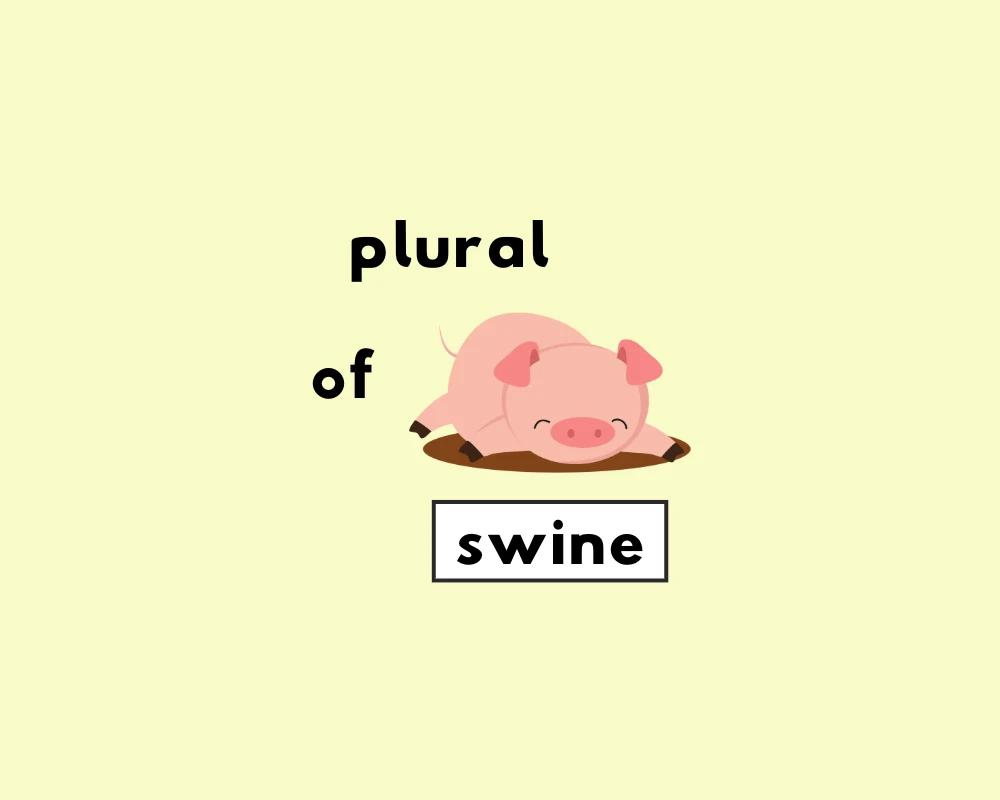 What’s the Plural of Swine?