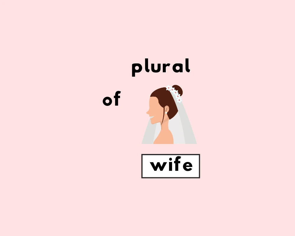 How to Use Wife Plural (Explained, Examples & Worksheet)