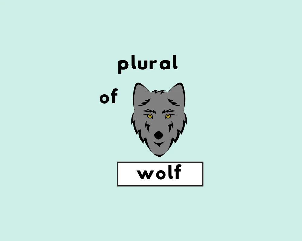 How to Use Wolf Plural (Explained, Examples & Worksheet)