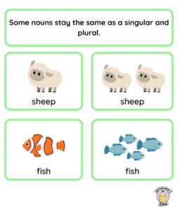 Some nouns stay the same singular and plural, like sheep.