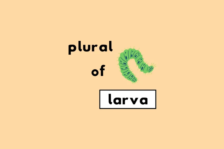 write the plural form of larva