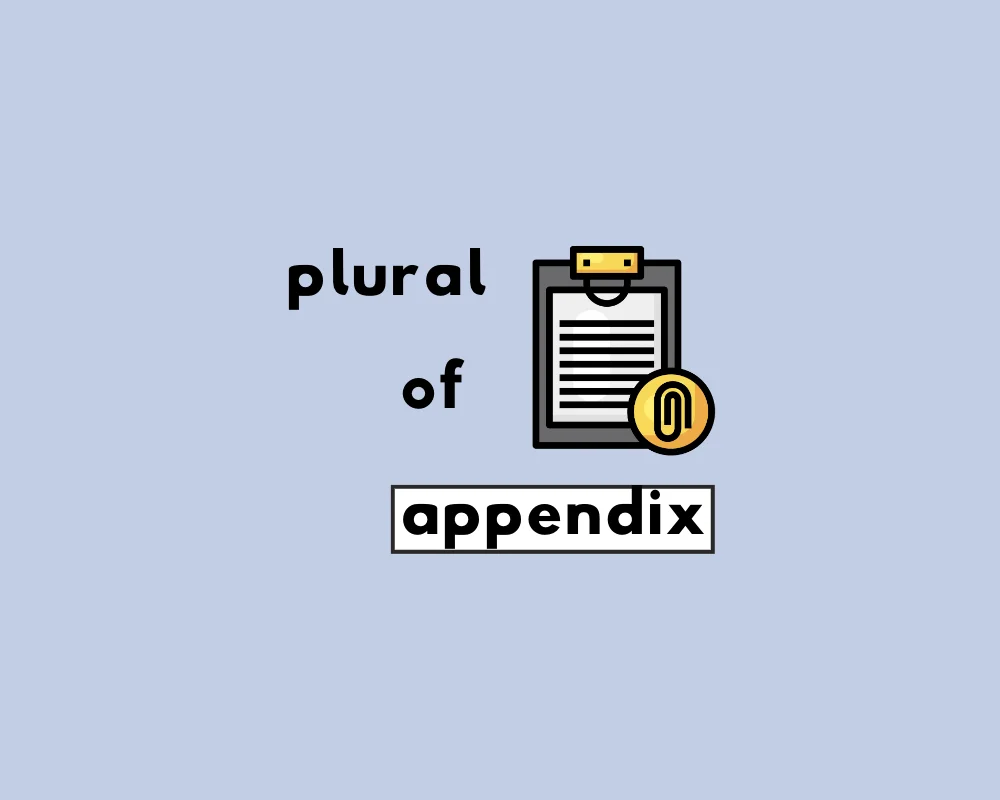 What's the Plural of Appendix? Appendixes or Appendices?