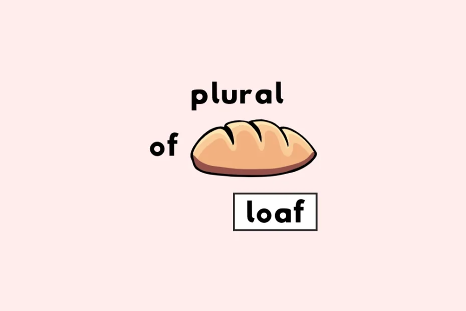 Plural Of Loaf In English Websites