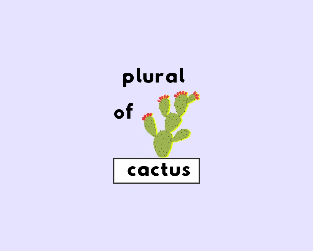 What's the Plural of Cactus?
