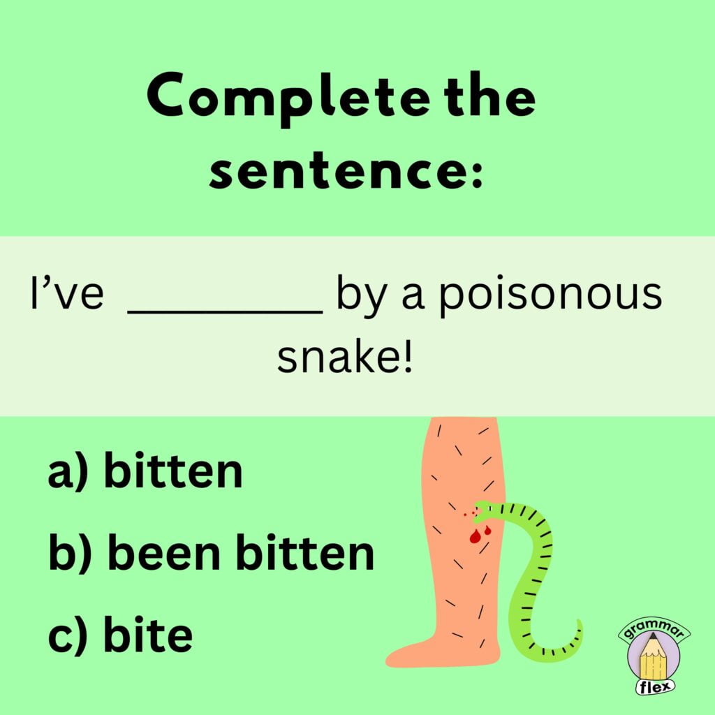 Complete the sentence with the correct tense of 'bite'.