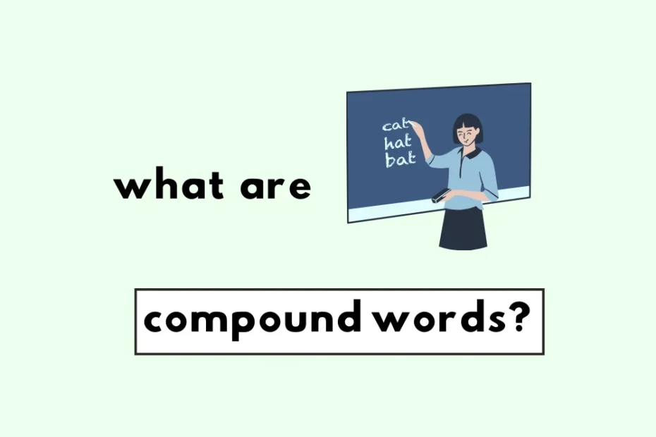 What are compound words?