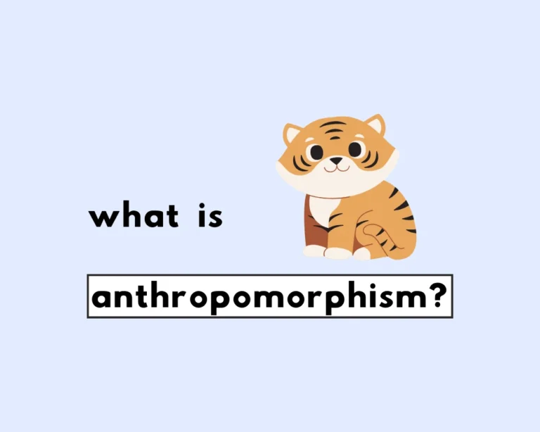 What is Anthropomorphism?