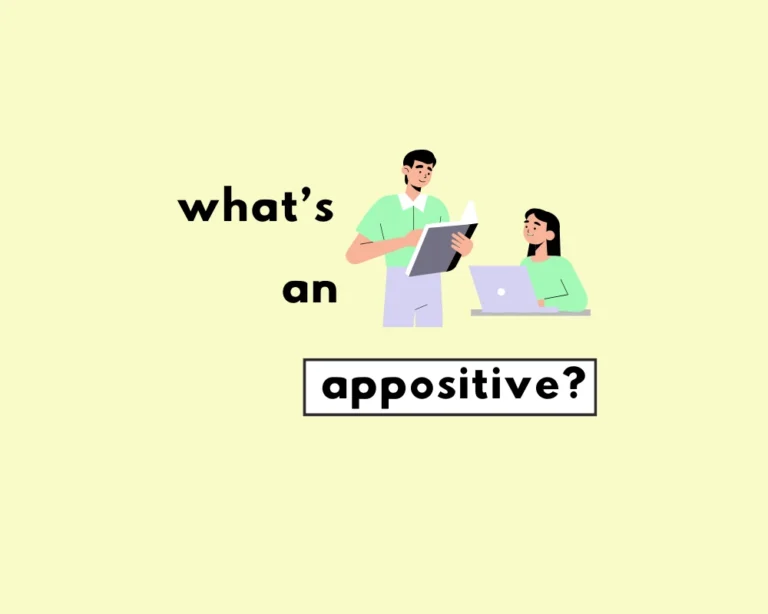 All about appositive nouns.